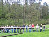 Maibaum 056